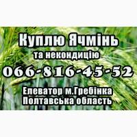 Елеватор Купує ячмінь та некондицію!Дорого!Власна Лабораторія