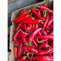 Продам гіркий перець