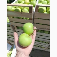 Яблука оптом із власного саду