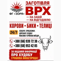 Закупівля ВРХ