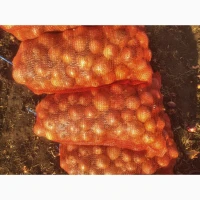 Продаю лук