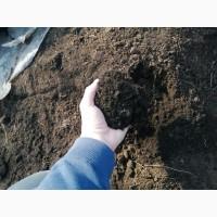 Грунт Чернозем в мешках Киевская область Конча заспа Чернозем Киев