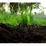 Грунт Чернозем в мешках Киевская область Конча заспа Чернозем Киев