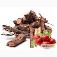 Продам Шиповник Корень