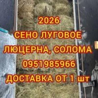 Сено в тюках для лошадей, крс, овец. Есть луговое и люцерна. Доставка