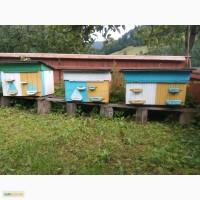 Продам три вулики не дорого. Утеплені
