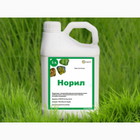 Норіл (Нурел Д)