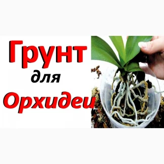 Кора сосновая для орхидей и др. растений, декора, дешево 30 грн 1 л