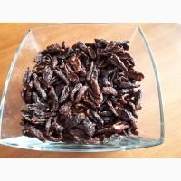 Сушенные чёрные помидоры черри