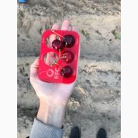 Продам черешню от производителя, оптом