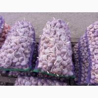Куплю товарный чеснок