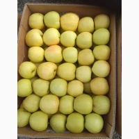 Продам яблука різних сортів