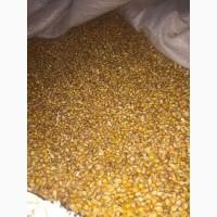 Закупаем зерновые