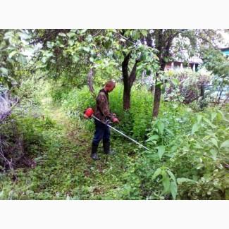 Расчистка участка Киев