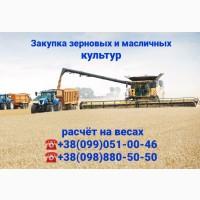 Закупка Рапса ГМО и без ГМО