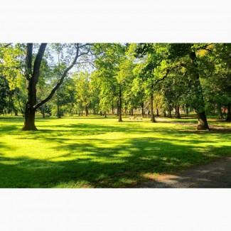 Продаємо травосуміш для благоустрою парків.Всі показники в нормі@!____