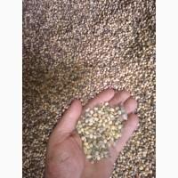 Продам сою 15-17т