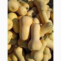 Продам мускатний гарбуз Арахісове масло