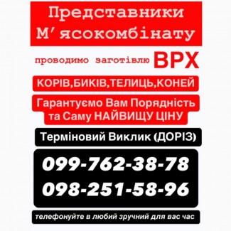 Мʼясокомбінат закуповує ВРХ