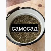 Продам махорку (самосад) Хорошего качеств