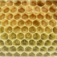 Бджолопакети українсько степова 3+1р. 4р.р