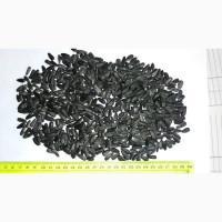 Соняшник продаж, 700 тонн. Хмельницька