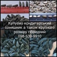 Закуповуємо КОНДИТЕРСКИЙ соняшник а також КРУПНОГО розміру гібридний полосатий та чорний