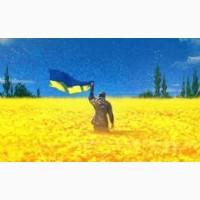 Купуємо Ріпак ГМО/без ГМО По всій Україні