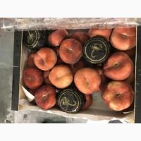 Продаем плоский персик