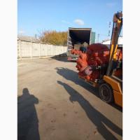 Куплю оптом грецький горіх