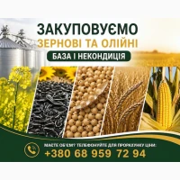 Закуповуємо сільськогосподарські культури (база та некондиція)