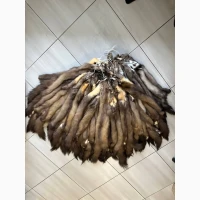 Куниця лісова оптом вичинена