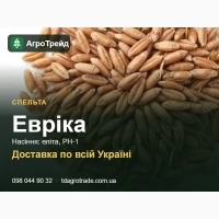 Спельта Евріка: продаж насіння, еліта, РН-1