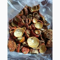 Продам мухомор королівський
