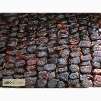Продам финик высокого качества Роник 1, 45 дол/кг. От 1т. до 20т