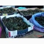 Продам живую рыбу малька а таже живые раки