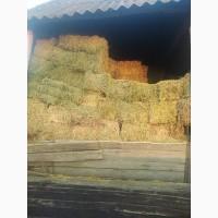Сіно люцерни в тюках