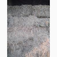 Сіно люцерни в тюках