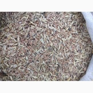 Куплю некондицию і зерновідходи