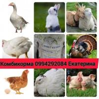 Продам полнорационный комбикорм для индюков