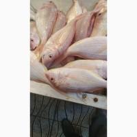 Морепродукты
