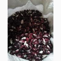 Продамо квасолю