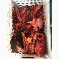 Субпродукты говяжьи и конские