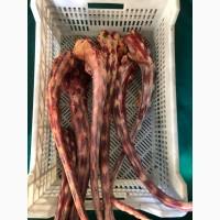 Субпродукты говяжьи и конские