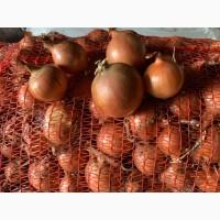 Лук отличного качества, сухой