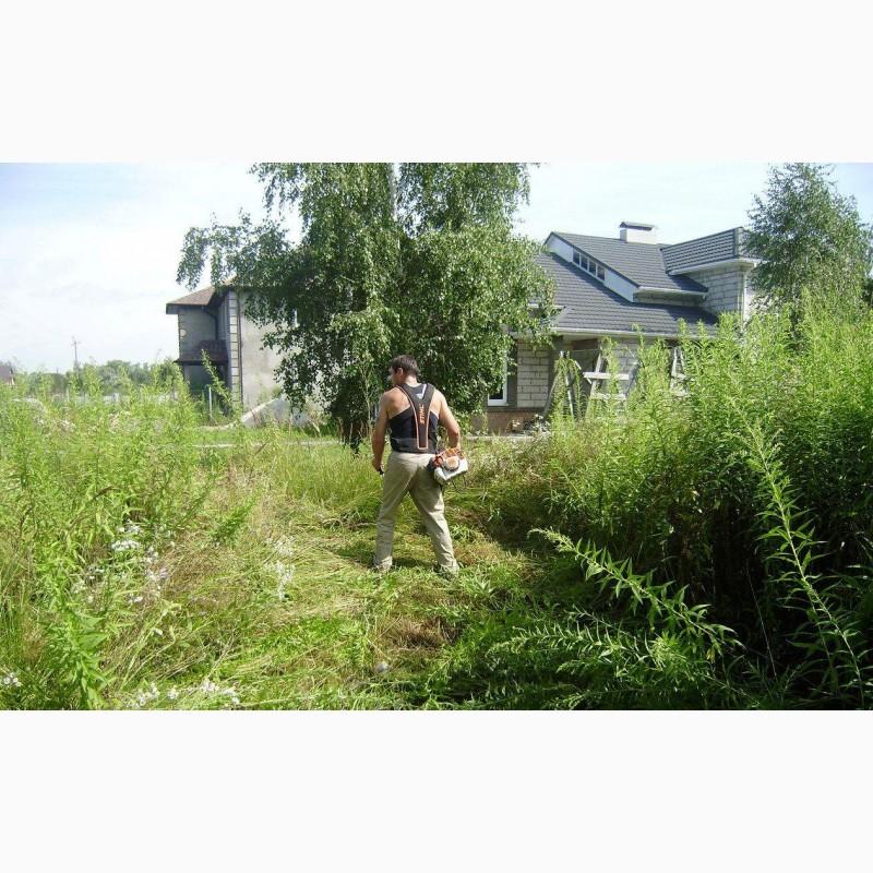 Фото 2. Професійний покіс трави, бурянів та сорняку. Вінниця та обл
