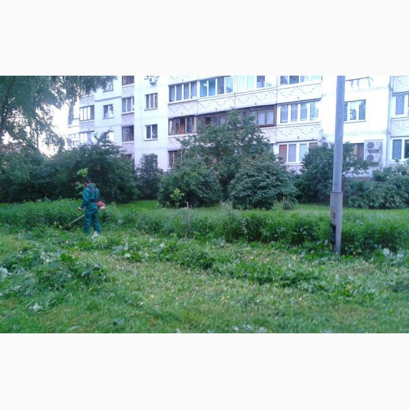 Фото 3. Професійний покіс трави, бурянів та сорняку. Вінниця та обл