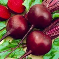 Куплю Буряк красный оптом