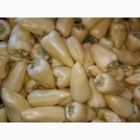 Продам перець. Сорт Хаскі