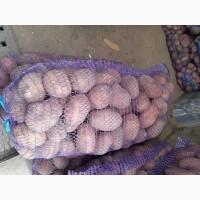 Продам картоплю товарну